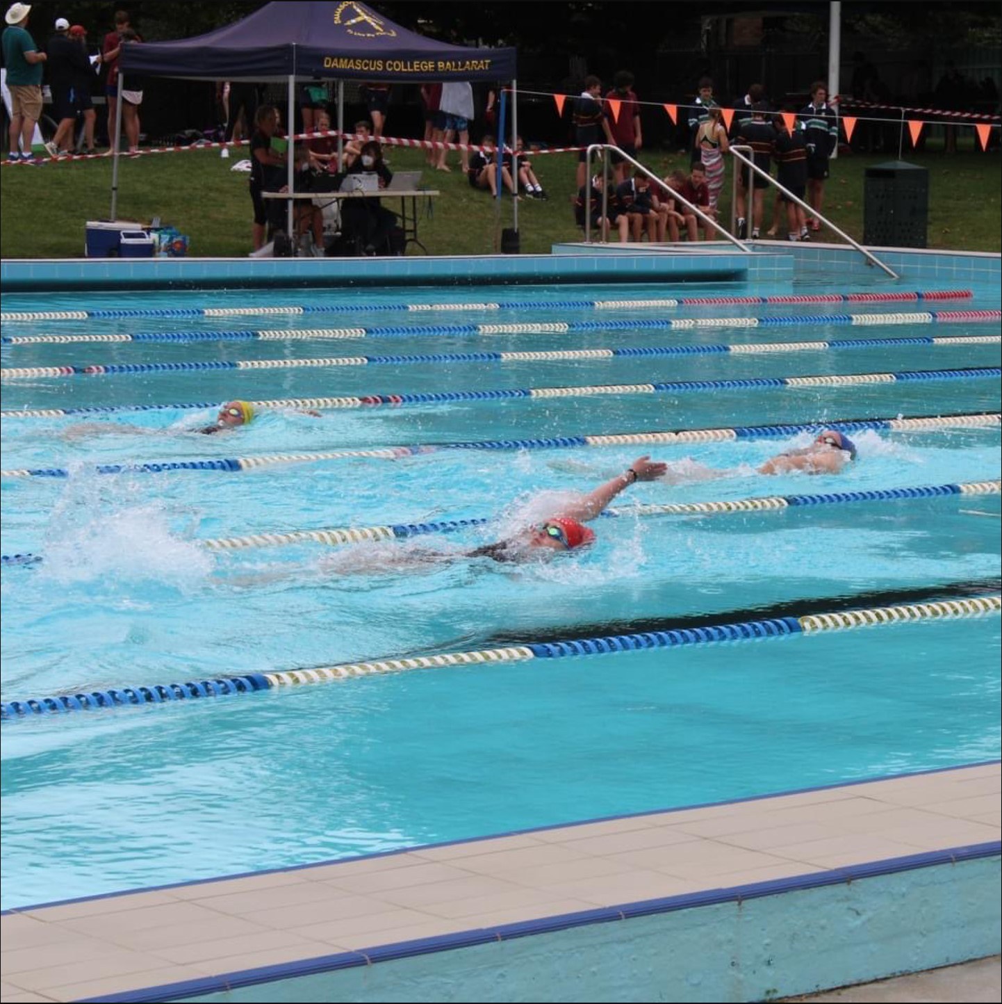Swimming Carnival - Ballarat Associated Schools